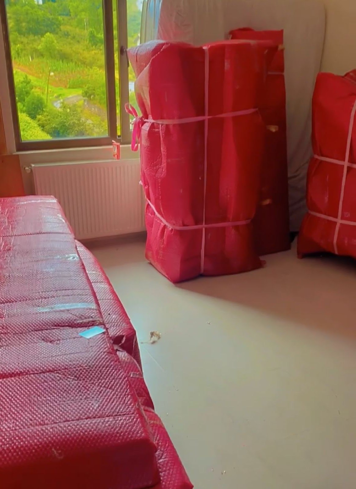 Güvenli Ev Taşıma